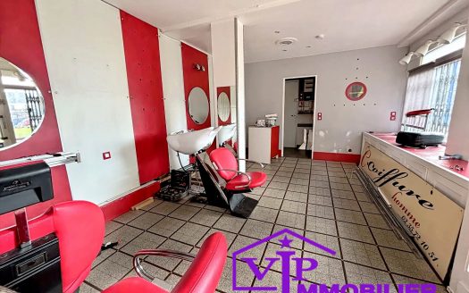 Murs commerciaux 24 m2