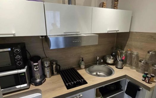 Appartement Rouen 2 pièce(s) 45 m2